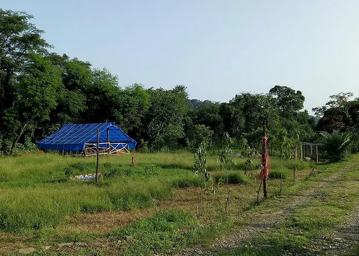Holiday Cottages in Dharamshala